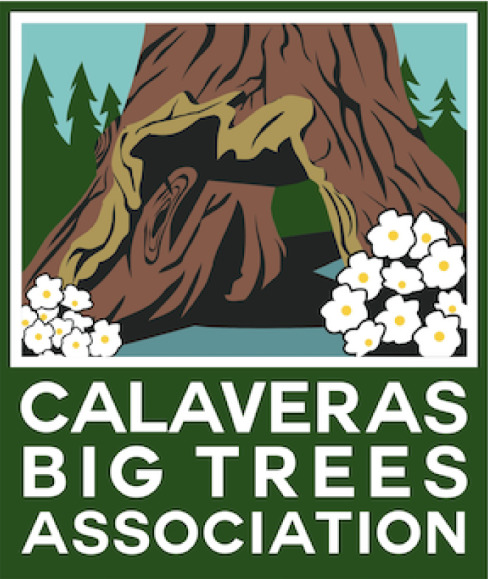 Calaveras-Big-Trees-Association-logo